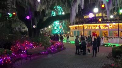 Celebration in the Oaks: New Orleans’ holiday tradition begins