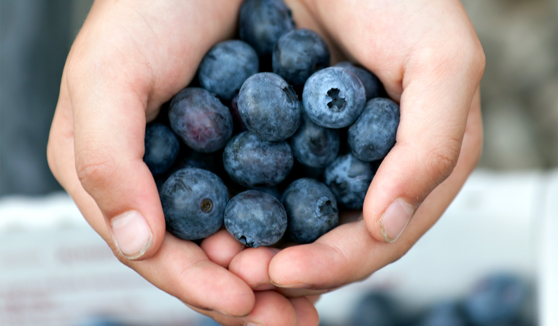 You-pick farms: A guide to where to pick your own blueberries in Louisiana