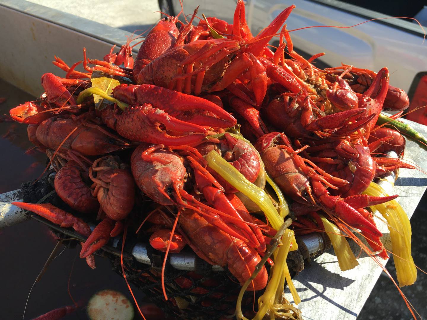 Louisiana Crawfish Festival announces new dates this spring