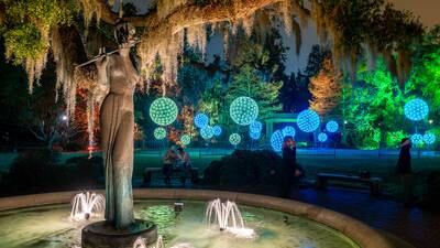 Tickets on sale now for Celebration in the Oaks 2023
