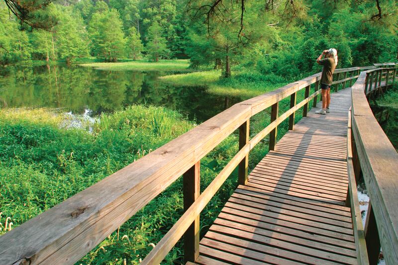 7 tranquil nature trails to explore outdoors while off-the-beaten-path